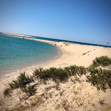 Cristipaulo * Distrikt Faro